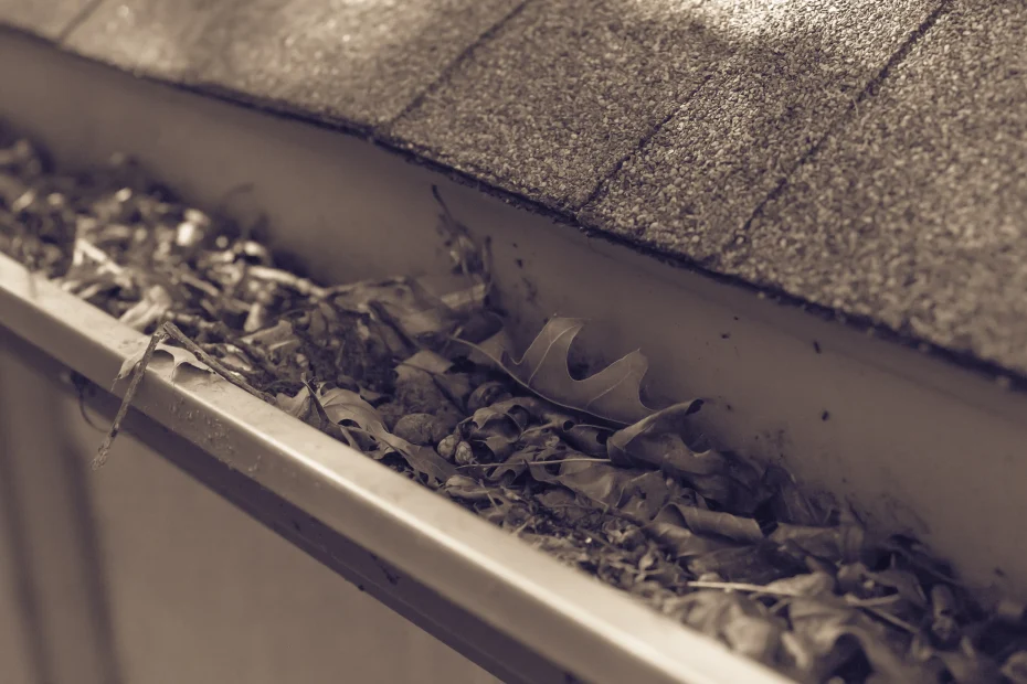 Durham Gutter Cleaning